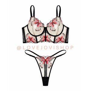 Intimates | Embroidered Butterfly Blush Pink Mesh Lingerie Set | Undergarment 2X
